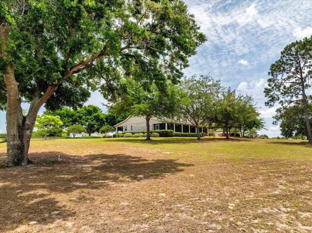 17631 Vista Belle Ct, Montverde, FL 34756 - view of green lawn