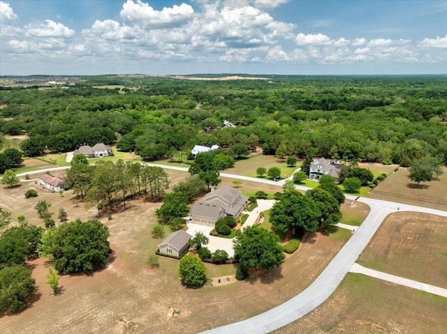 17631 Vista Belle Ct, Montverde, FL 34756 - drone / aerial view of a forest