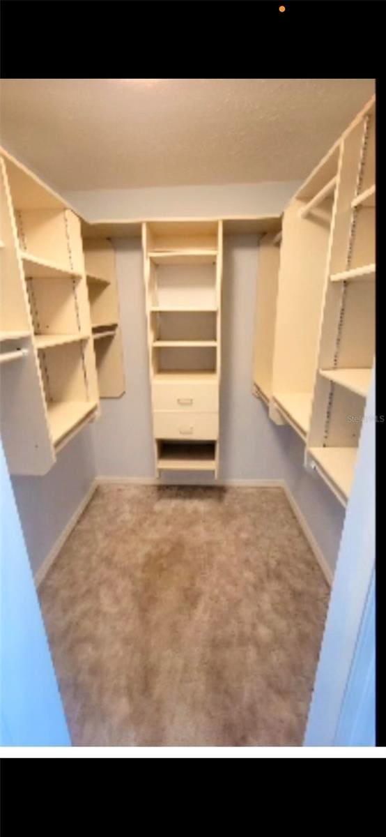 walk in closet featuring carpet floors
