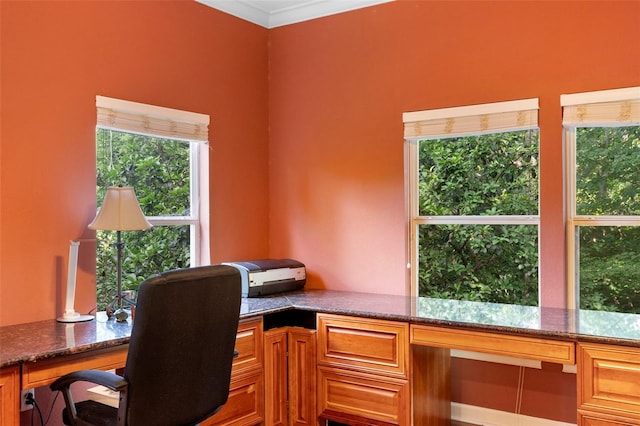 4107 Gabriella Ln, Winter Park, FL 32792 - photo 58