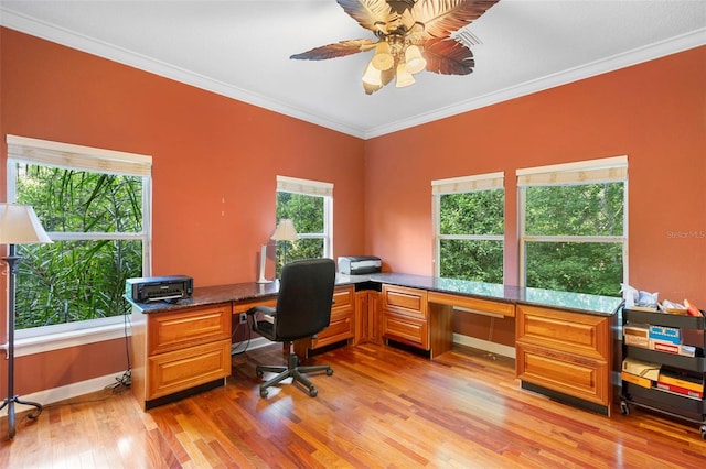 4107 Gabriella Ln, Winter Park, FL 32792 - photo 57