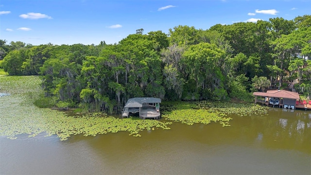 4107 Gabriella Ln, Winter Park, FL 32792 - photo 7