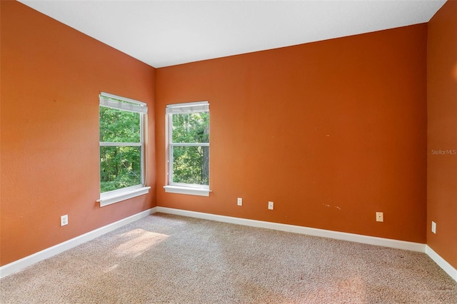 4107 Gabriella Ln, Winter Park, FL 32792 - photo 59
