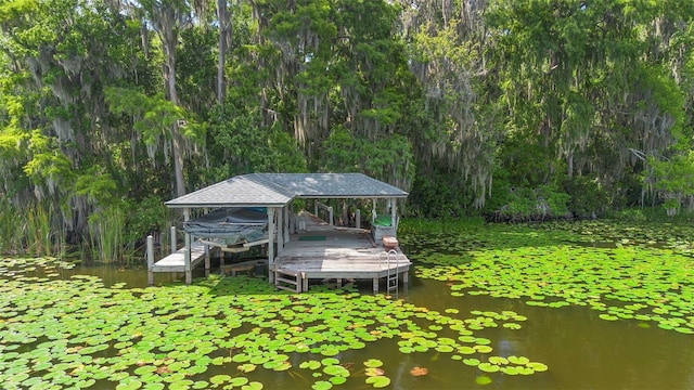 4107 Gabriella Ln, Winter Park, FL 32792 - photo 78