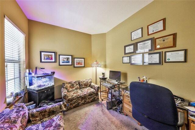 2921 Falconhill Dr, Apopka, FL 32712 - office area with carpet