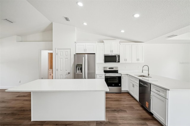 13881 SW 80th Ave, Ocala, FL 34473 - kitchen featuring stainless steel appliances, a sink, lofted ceiling, a center island, and light countertops