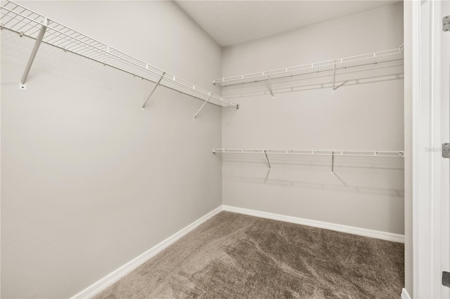 1915 Terrapin Rd, Ocoee, FL 34761 - spacious closet with carpet flooring