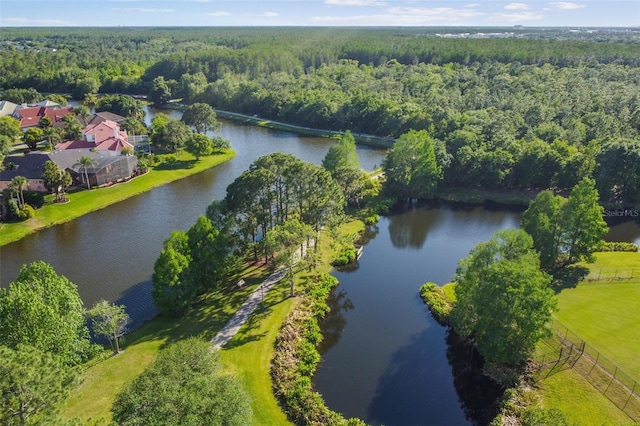 14003 Sobrado Dr, Orlando, FL 32837 - drone / aerial view of a heavily wooded area and a large body of water