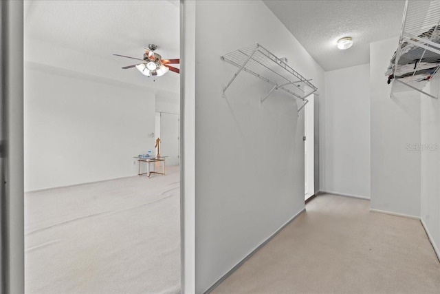 1240 Falconcrest Blvd, Apopka, FL 32712 - walk in closet with carpet floors and a ceiling fan