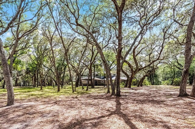 5655 Oak Hollow Ln, Oviedo, FL 32765 - photo 54
