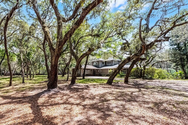 5655 Oak Hollow Ln, Oviedo, FL 32765 - photo 56