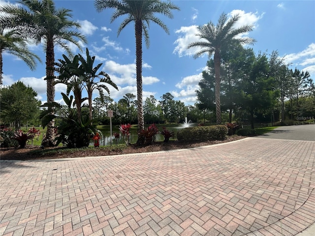 14501 Grove Resort Unit 1409, Winter Garden, FL 34787 - view of road