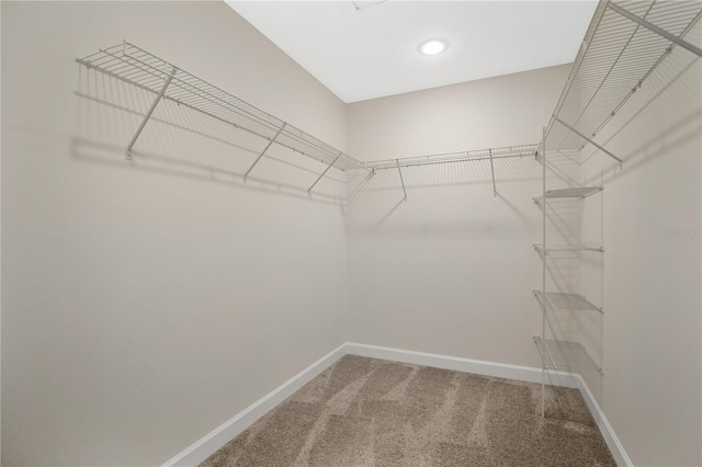 15060 Book Club Rd, Winter Garden, FL 34787 - spacious closet with carpet flooring