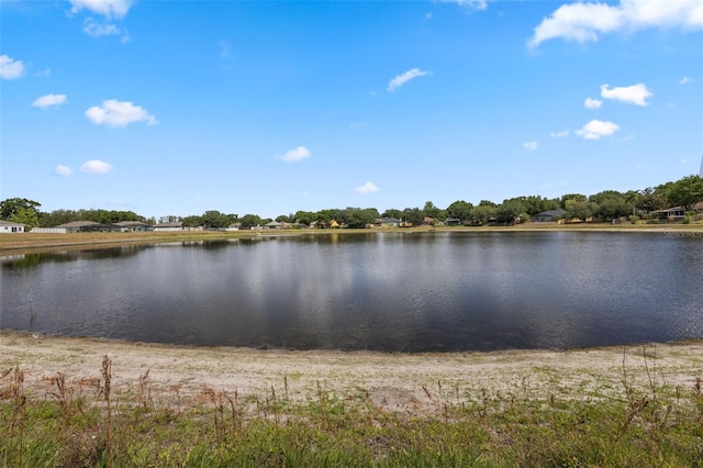 1552 Whooping Dr, Groveland, FL 34736 - photo 40