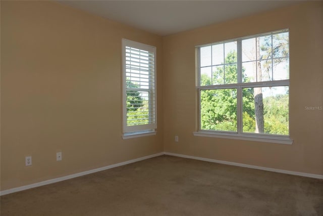 empty room with carpet and baseboards