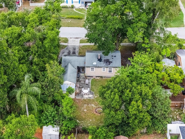 drone / aerial view