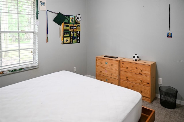 1430 Arrowhead Trl, Deltona, FL 32725 - bedroom featuring multiple windows, carpet floors, and baseboards