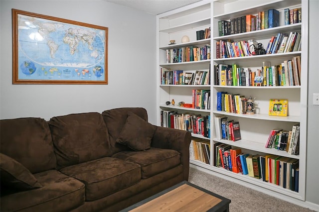 1430 Arrowhead Trl, Deltona, FL 32725 - living room with carpet floors
