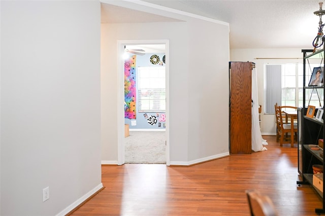 1430 Arrowhead Trl, Deltona, FL 32725 - foyer featuring wood finished floors and baseboards