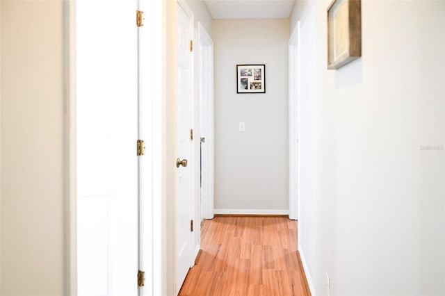 1430 Arrowhead Trl, Deltona, FL 32725 - hall with light wood-style flooring and baseboards