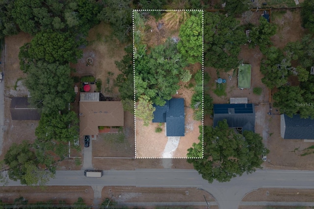 bird's eye view