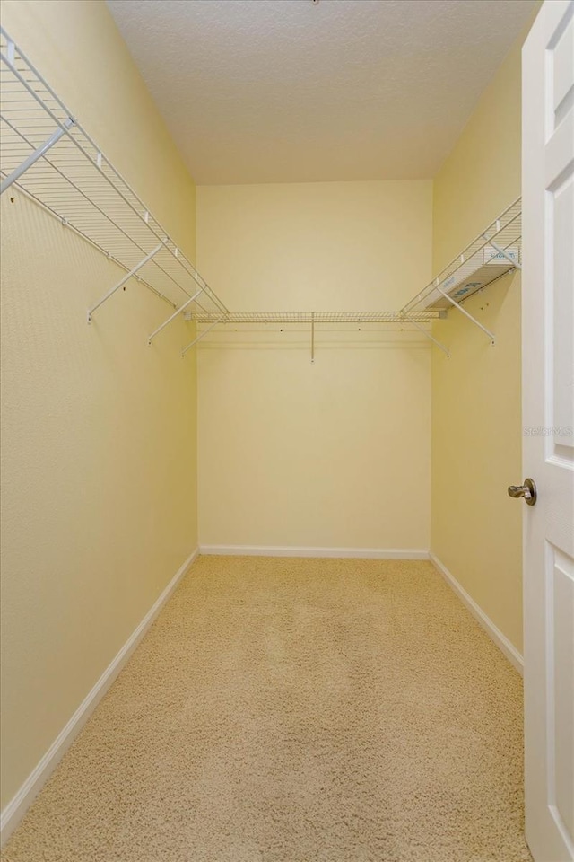 spacious closet with carpet