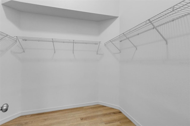 2643 Alamosa Pl, Lake Mary, FL 32746 - spacious closet featuring light wood finished floors