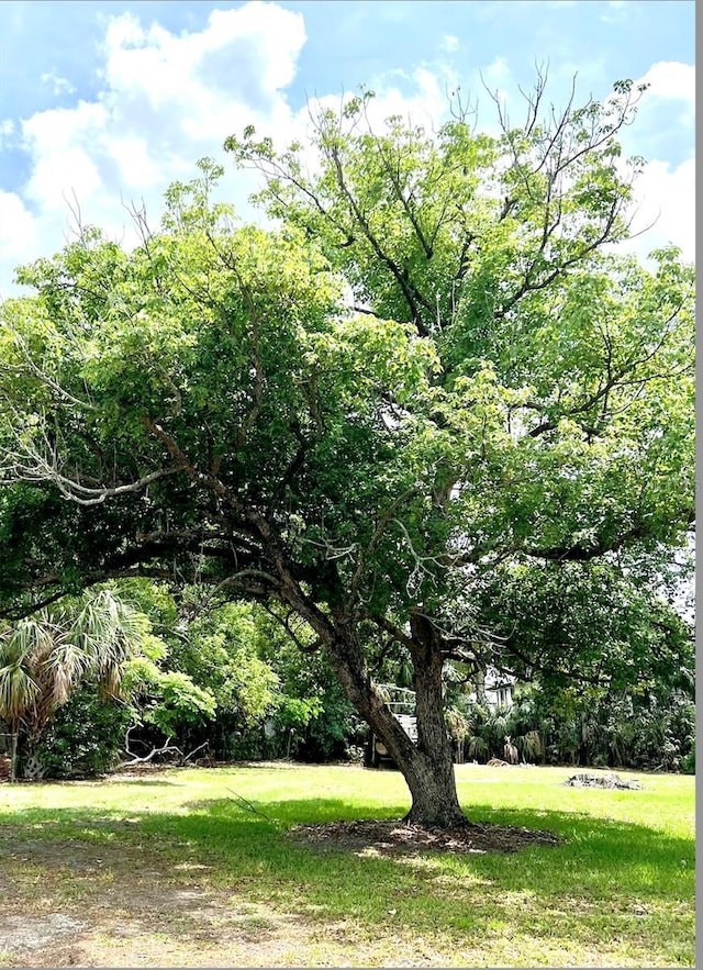 W Vining St, Winter Garden, FL 34787