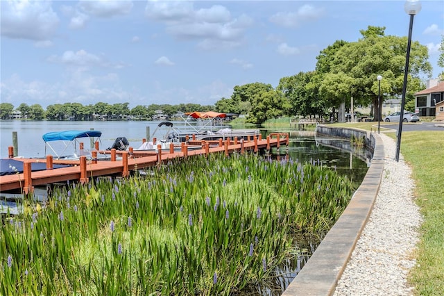 dock area with a water view