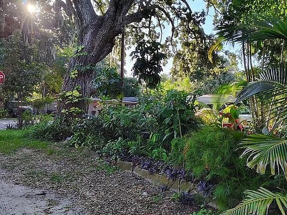 820 Bayou Ave, Tarpon Springs, FL 34689 - view of undeveloped land