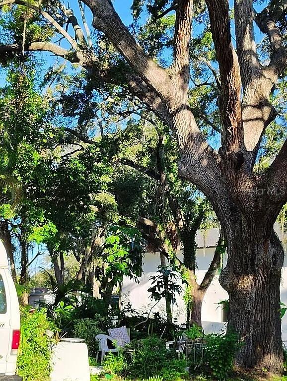 820 Bayou Ave, Tarpon Springs, FL 34689 - view of home's exterior