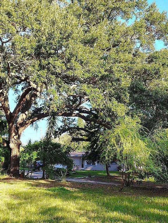 820 Bayou Ave, Tarpon Springs, FL 34689 - view of grassy yard