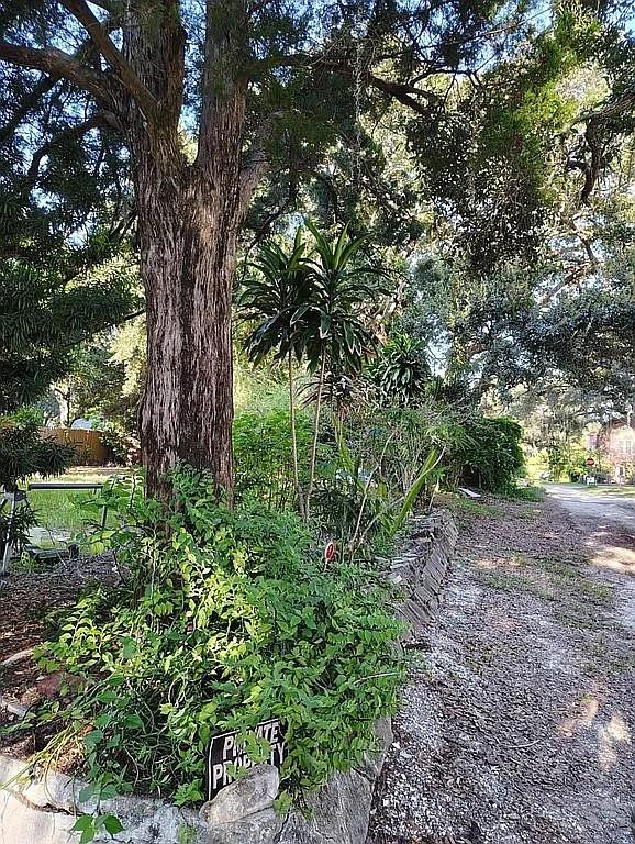 820 Bayou Ave, Tarpon Springs, FL 34689 - view of undeveloped land