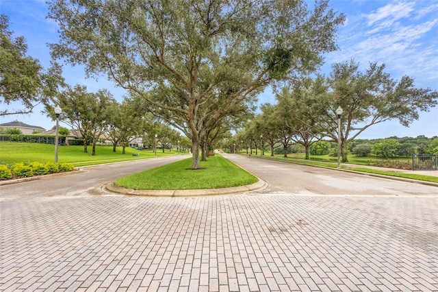 1286 Tallow Rd, Apopka, FL 32703 - view of home's community with curved driveway