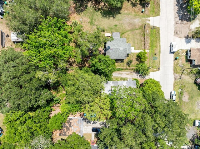 1701 E Bay St, Winter Garden, FL 34787 - photo 29