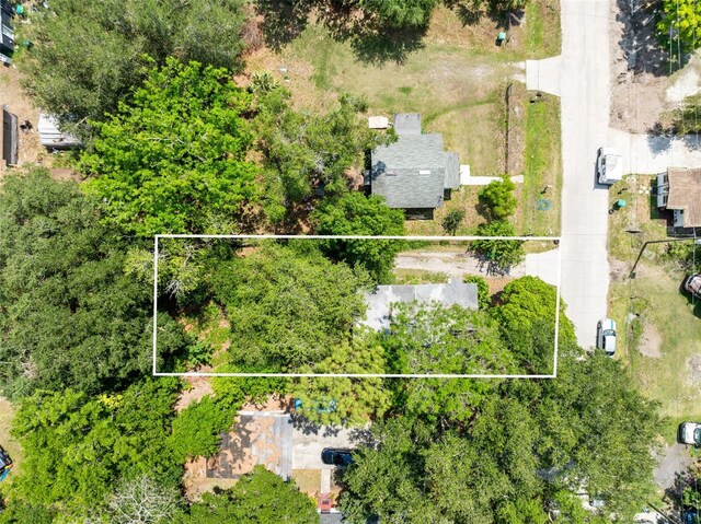 1701 E Bay St, Winter Garden, FL 34787 - photo 30