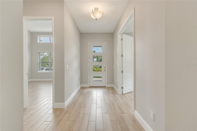 7789 Nemours Pkwy, Orlando, FL 32827 - photo 3