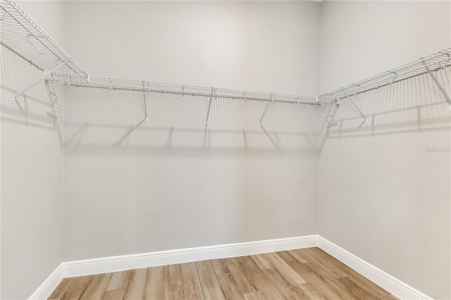 7789 Nemours Pkwy, Orlando, FL 32827 - photo 22