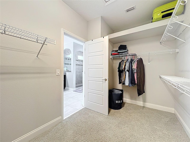 473 Oviedo Blvd, Oviedo, FL 32765 - spacious closet with carpet