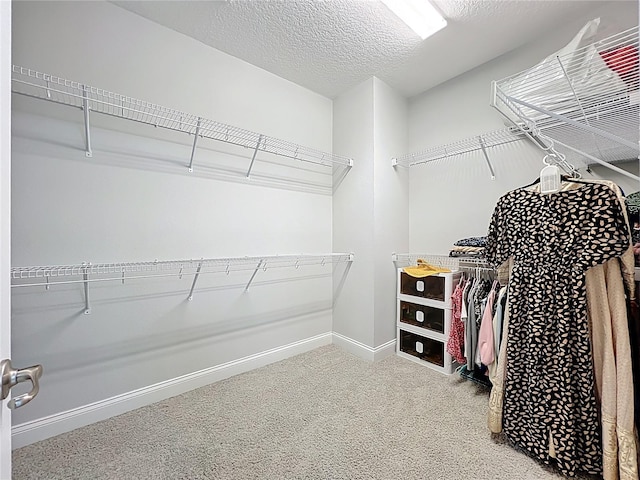 473 Oviedo Blvd, Oviedo, FL 32765 - spacious closet featuring carpet flooring