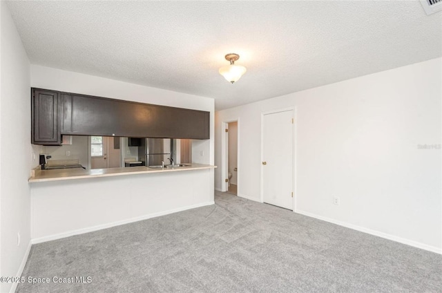 3164 Finsterwald Dr Unit 3164, Titusville, FL 32780 - unfurnished living room featuring carpet flooring, baseboards, a textured ceiling, and a sink
