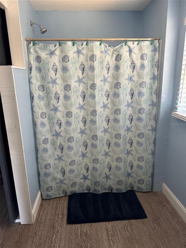 bathroom with wood finished floors, baseboards, and a shower with shower curtain