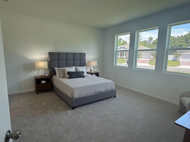 2681 Ginseng Ivy St, Apopka, FL 32703 - bedroom with light carpet and baseboards
