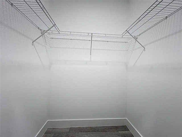 2531 SW 167th Loop, Ocala, FL 34473 - view of spacious closet