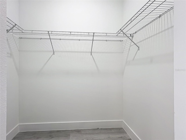 2531 SW 167th Loop, Ocala, FL 34473 - view of spacious closet