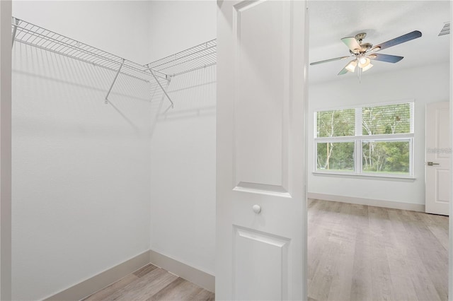 walk in closet featuring light wood finished floors and ceiling fan