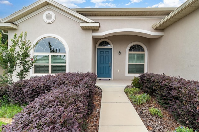 view of exterior entry with stucco siding
