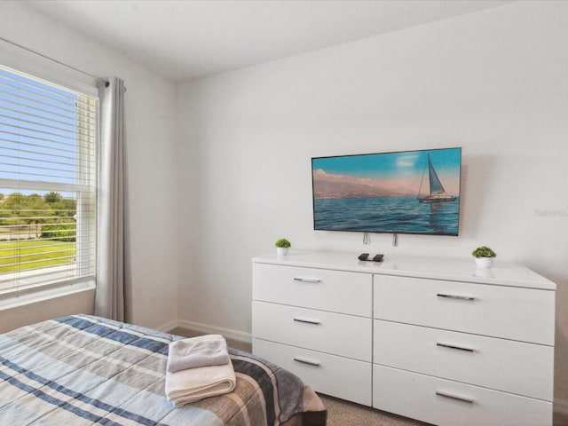 1632 Tropical Palms Cir, Kissimmee, FL 34747 - carpeted bedroom with multiple windows and baseboards