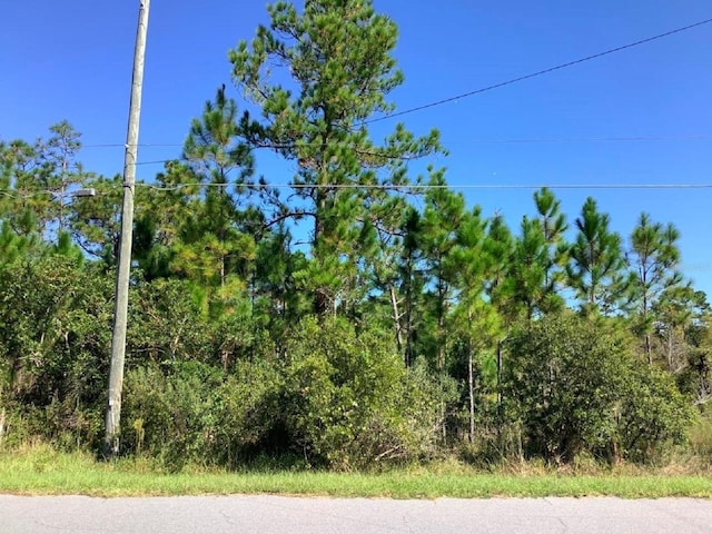 00000 Sheldon St, Orlando, FL 32833 - photo 2