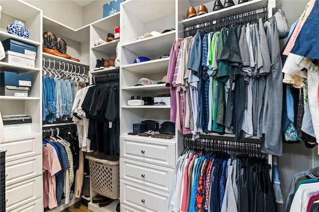 spacious closet with wood finished floors